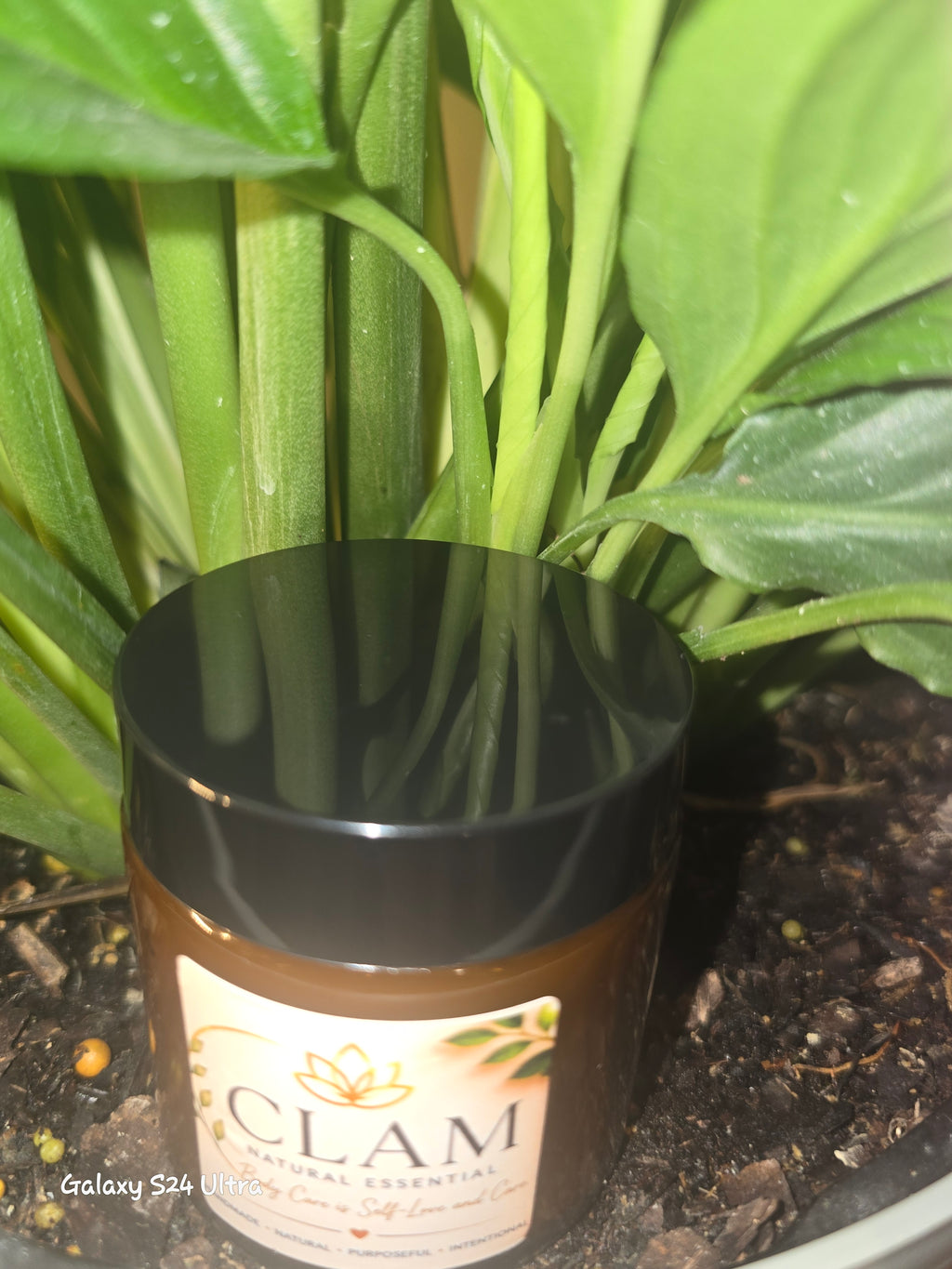 CLAM  Legacy Body Balm